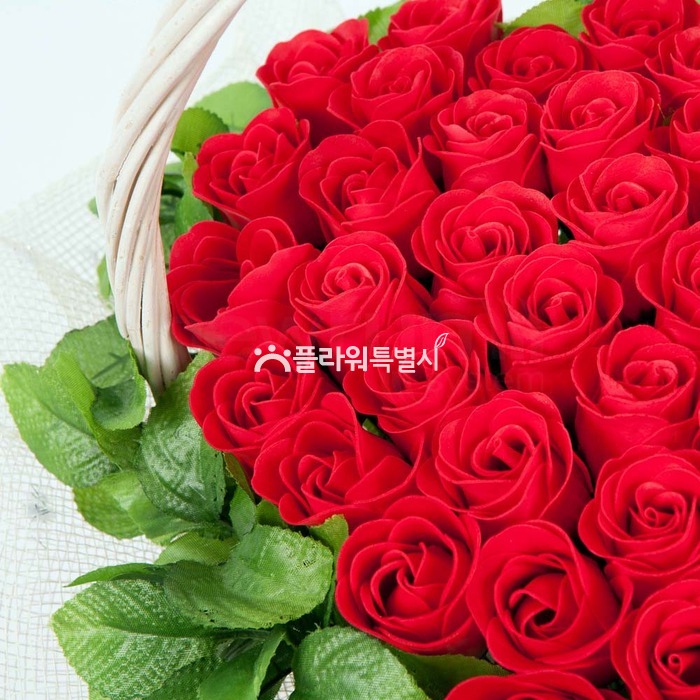 상세이미지